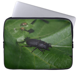 Dorcus parallelipipedus , the lesser stag beetle laptop sleeve