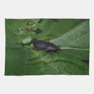 Dorcus parallelipipedus , the lesser stag beetle tea towel
