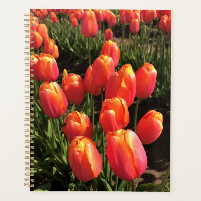 Dordogne Tulips, Oregon Planner (Front)