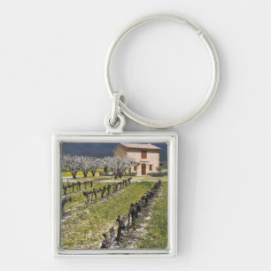 Dormant vineyard, fruit blossoms, stone house, key ring
