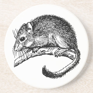 Dormouse Coaster