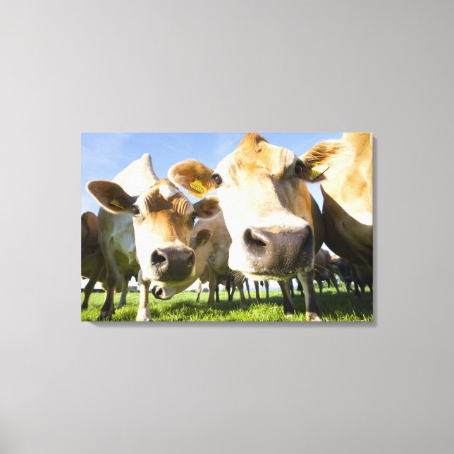 Dorset, UK Canvas Print (Front)