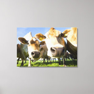 Dorset, UK Canvas Print