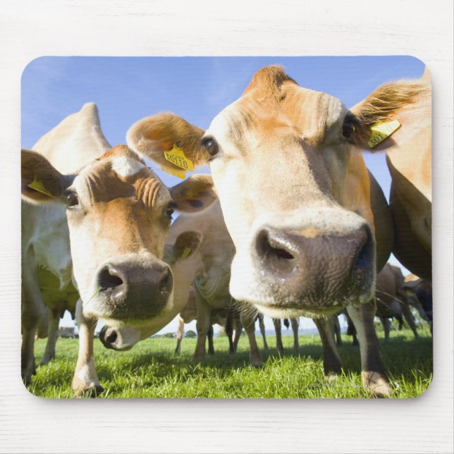 Dorset, UK Mouse Mat (Front)