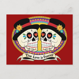 Dos Novios (2 Grooms) Postcard