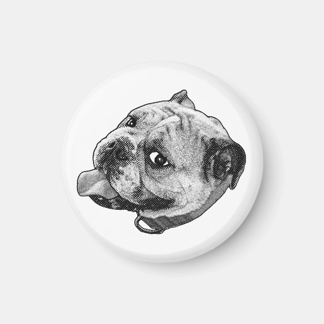 Dot Bulldog Magnet (Front)