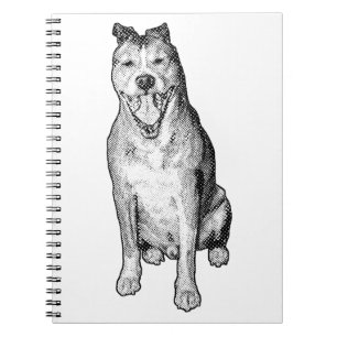 Dot-Shaded Sitter Notebook