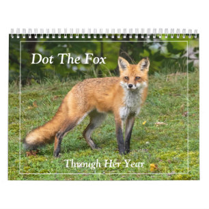 Dot The Fox Calendar