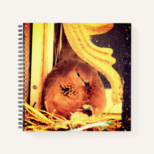 Doting Mama Dove Notebook