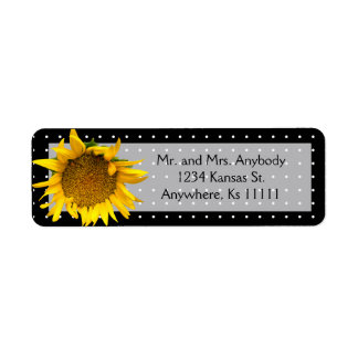 Dotted Sunflower