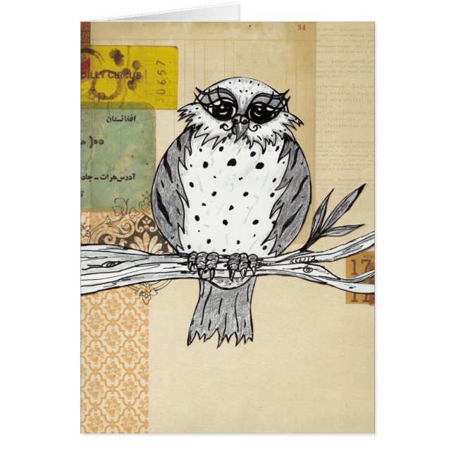 Dotti the Owl 26 (Front)