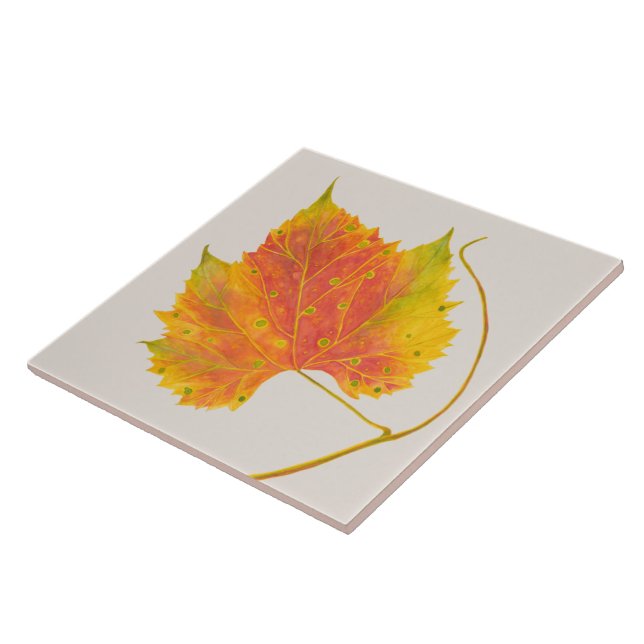 Dotty Spotty Fall on a Ceramic Tile (Side)