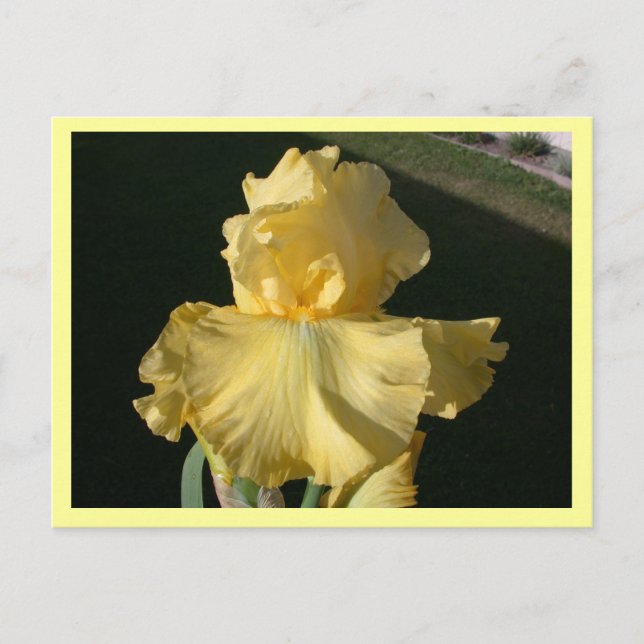 Double Agent Postcard (Front)