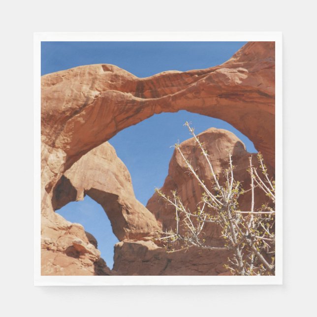 Double Arch at Arches National Park Napkin (Front)