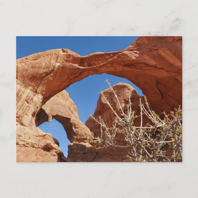 Double Arch at Arches National Park Postcard (Front)
