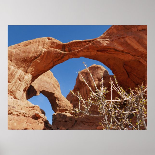 Double Arch at Arches National Park Poster (Front)
