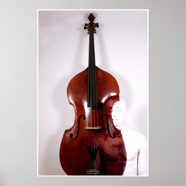 Double Bass by Johannes Stötter Poster (Front)