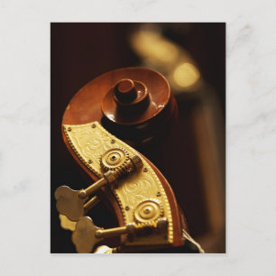 Double bass headstock 2 postcard