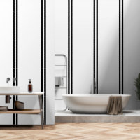 Double Black Stripes On White