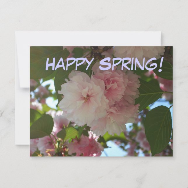 Double Blossoming Cherry Tree I Spring Floral Card (Front)