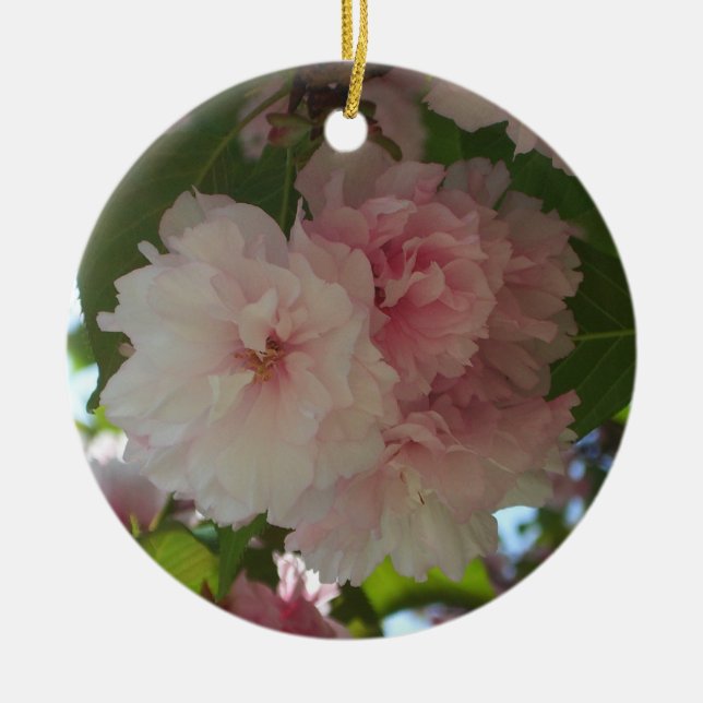Double Blossoming Cherry Tree I Spring Floral Ceramic Tree Decoration (Front)