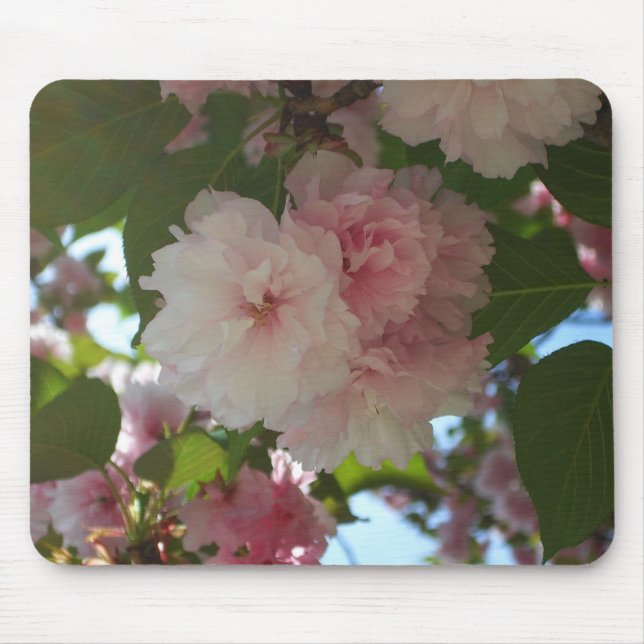 Double Blossoming Cherry Tree I Spring Floral Mouse Mat (Front)