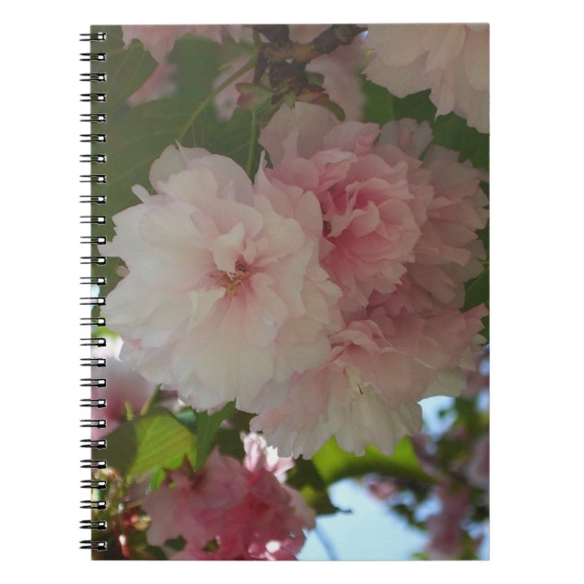 Double Blossoming Cherry Tree I Spring Floral Notebook (Front)