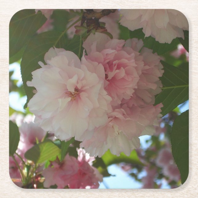 Double Blossoming Cherry Tree I Spring Floral Square Paper Coaster (Front)