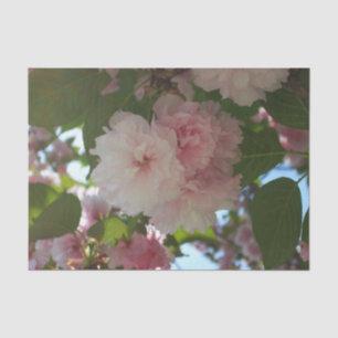 Double Blossoming Cherry Tree I Spring Floral Tissue Paper