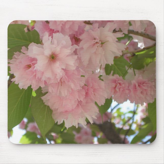 Double Blossoming Cherry Tree II Spring Floral Mouse Mat (Front)