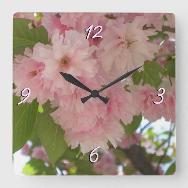 Double Blossoming Cherry Tree II Spring Floral Square Wall Clock (Front)