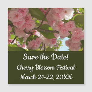 Double Blossoming Cherry Tree III Spring Floral