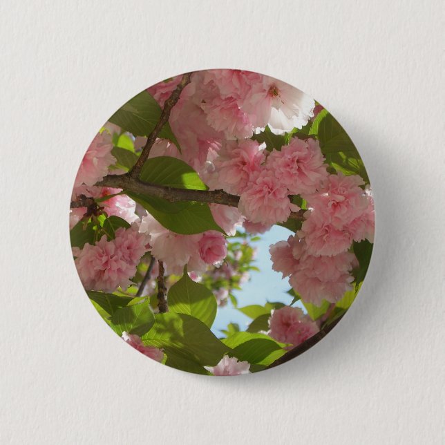 Double Blossoming Cherry Tree III Spring Floral 6 Cm Round Badge (Front)