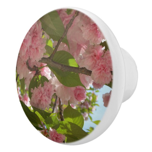Double Blossoming Cherry Tree III Spring Floral Ceramic Knob (Right)