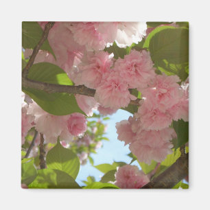 Double Blossoming Cherry Tree III Spring Floral Magnet