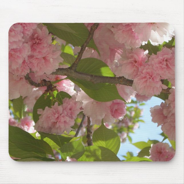 Double Blossoming Cherry Tree III Spring Floral Mouse Mat (Front)