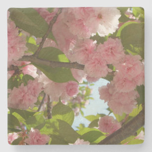 Double Blossoming Cherry Tree III Spring Floral Stone Coaster