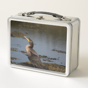 Double breasted cormorant metal lunch box
