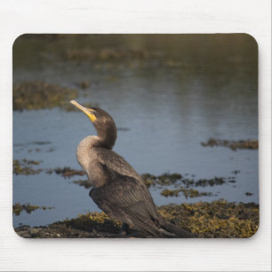 Double breasted cormorant mouse mat