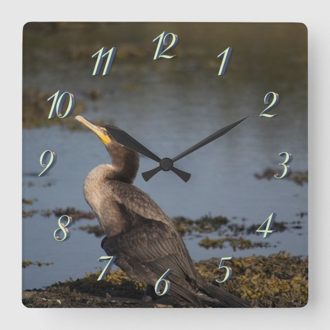 Double breasted cormorant square wall clock (Front)