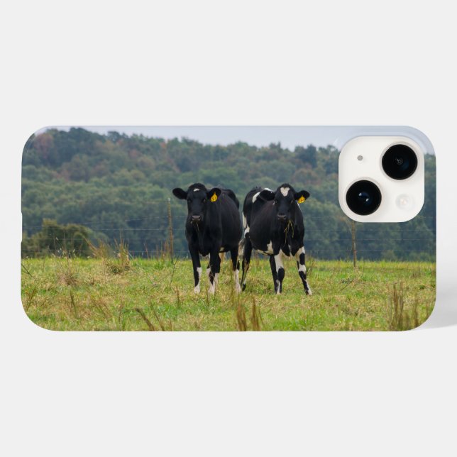 Double Cattle Trouble iPhone Case (Back (Horizontal))