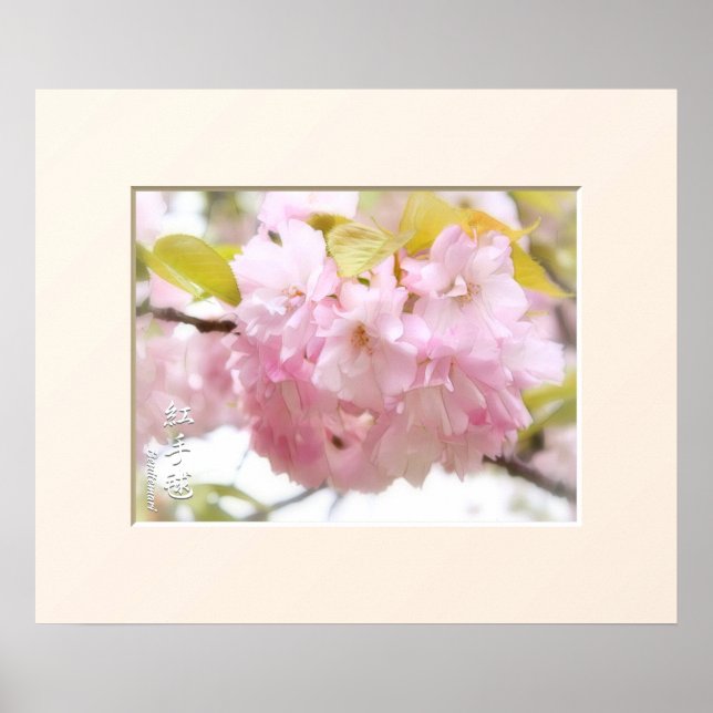Double Cherry Blossom: Benitemari Poster (Front)
