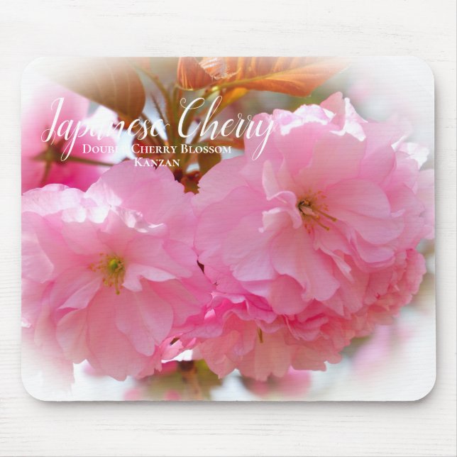 Double Cherry Blossom: Kanzan Mouse Mat (Front)