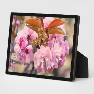 Double Cherry Blossom: Kanzan Plaque
