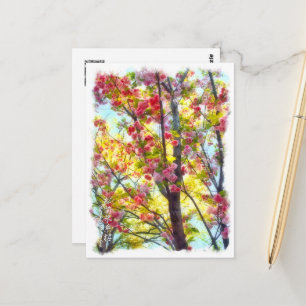 Double Cherry Blossom: Matsumae-kotoitozakura Post Postcard