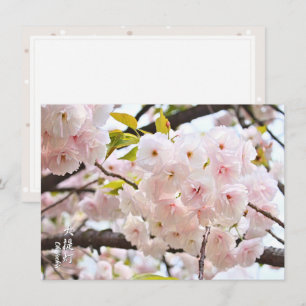 Double Cherry Blossom: Oh-jochin Card