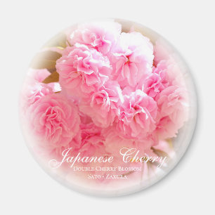 Double Cherry Blossom: Sato-zakura Magnet