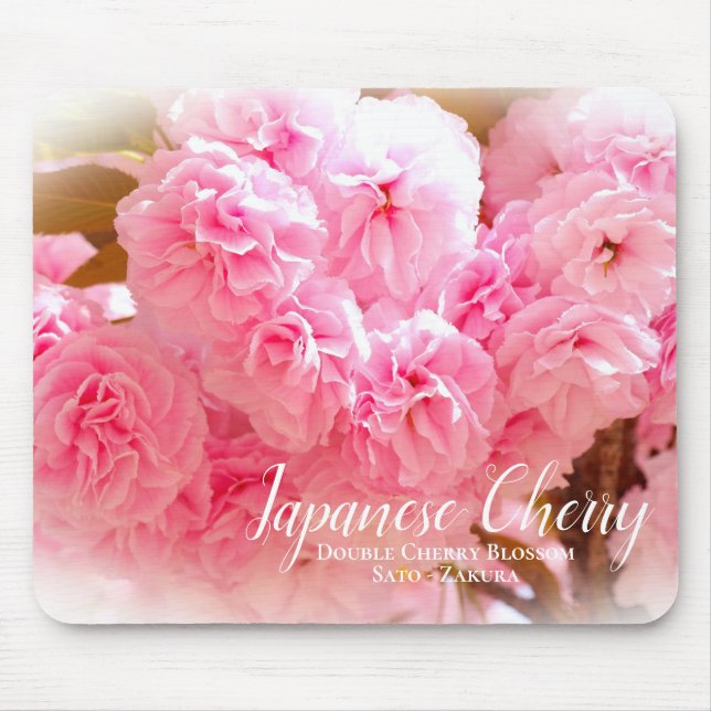 Double Cherry Blossom: Sato-zakura Mouse Mat (Front)