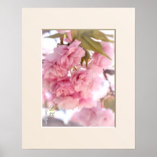 Double Cherry Blossom: Sato-zakura Poster