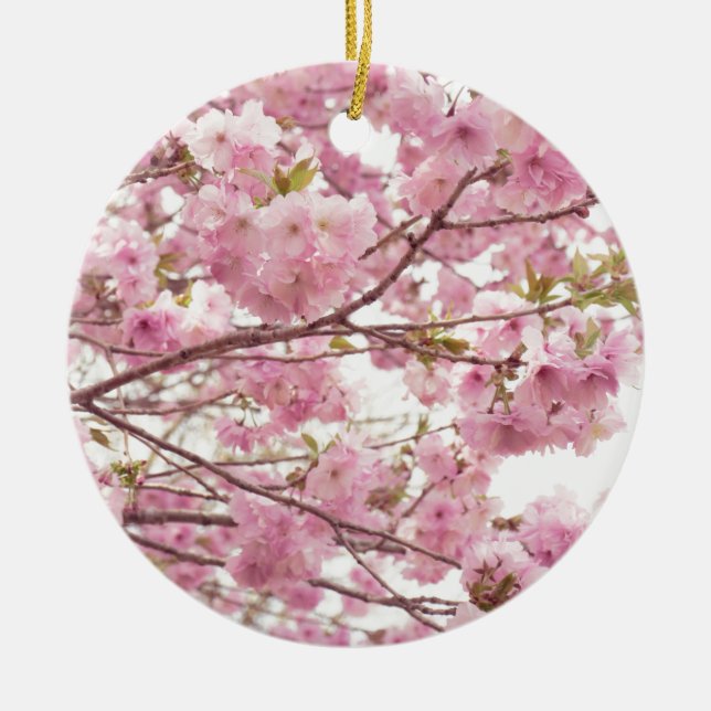 Double cherry blossoms in Japan Ceramic Tree Decoration (Front)
